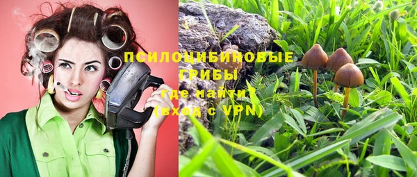 амф Богородицк