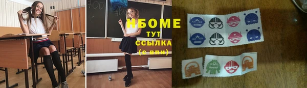 амф Богородицк