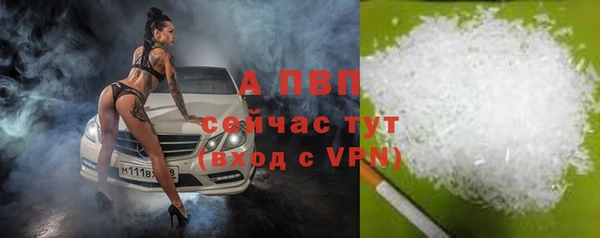 амф Богородицк